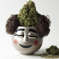 chia pot head