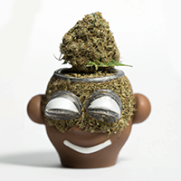 chia pot head