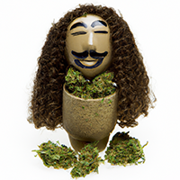 chia pot head