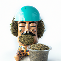 chia pot head