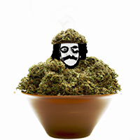 chia pot head