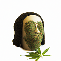 chia pot head