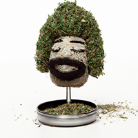 chia pot head