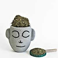 chia pot head