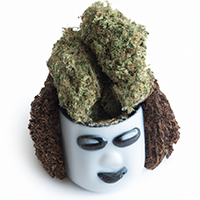 chia pot head