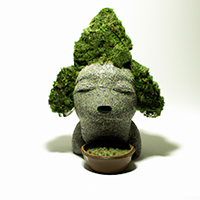 chia pot head