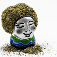 chia pot head